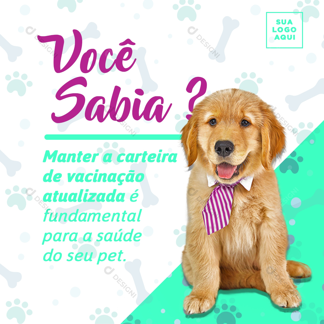 Gato Petshop Social Media Veterinário PSD Editável Cachorro