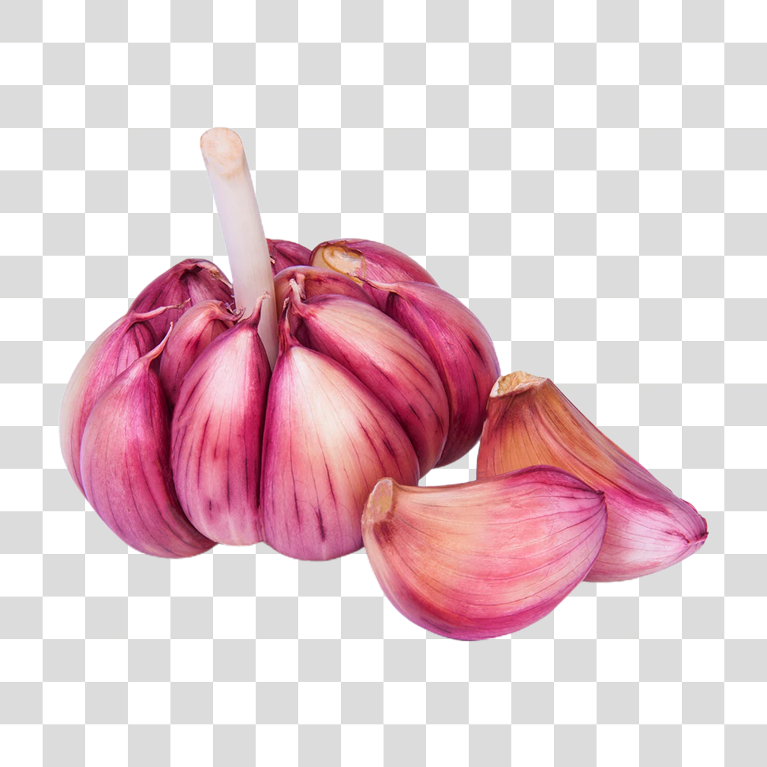 Cabeça de Alho PNG Transparente Sem Fundo