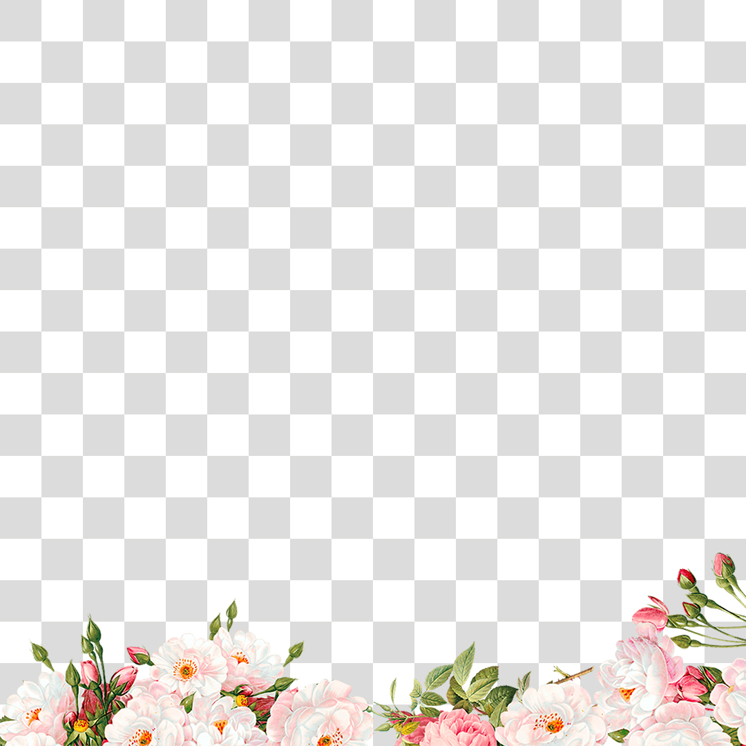 Flores PNG Transparente Sem Fundo