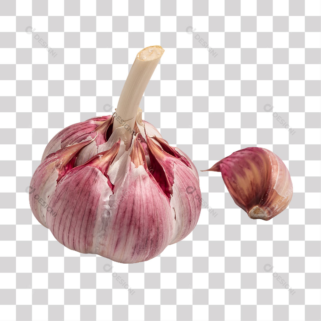 Cabeça de Alho PNG Transparente Sem Fundo
