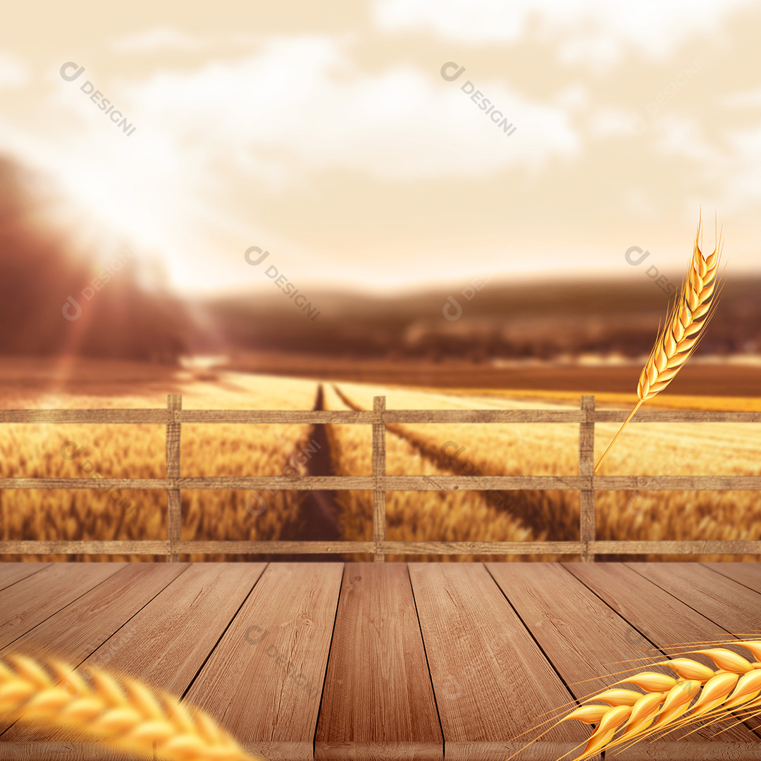 Cenário Mesa de Madeira e Background Cevada Trigo PSD + JPG