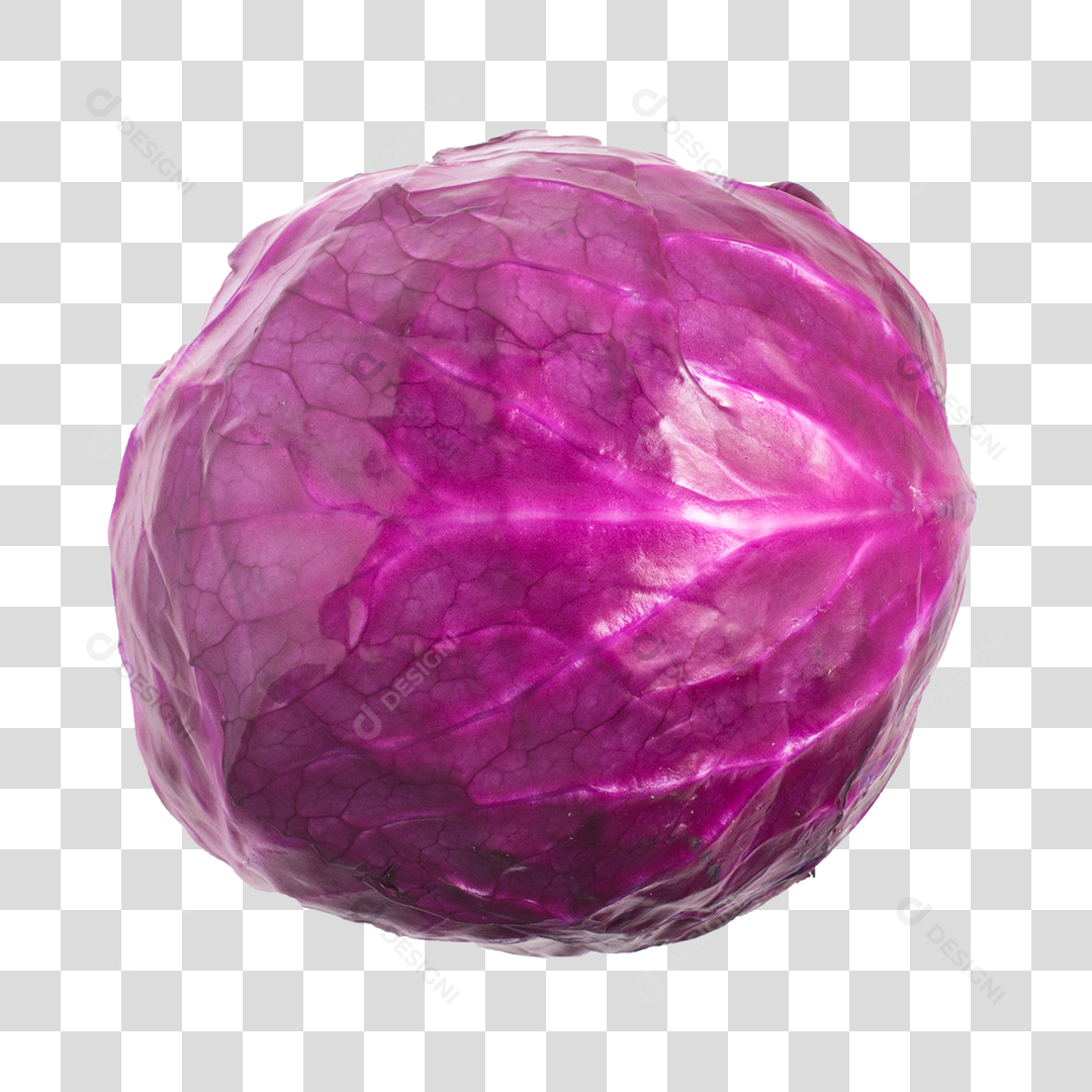 Repolho PNG Transparente Sem Fundo