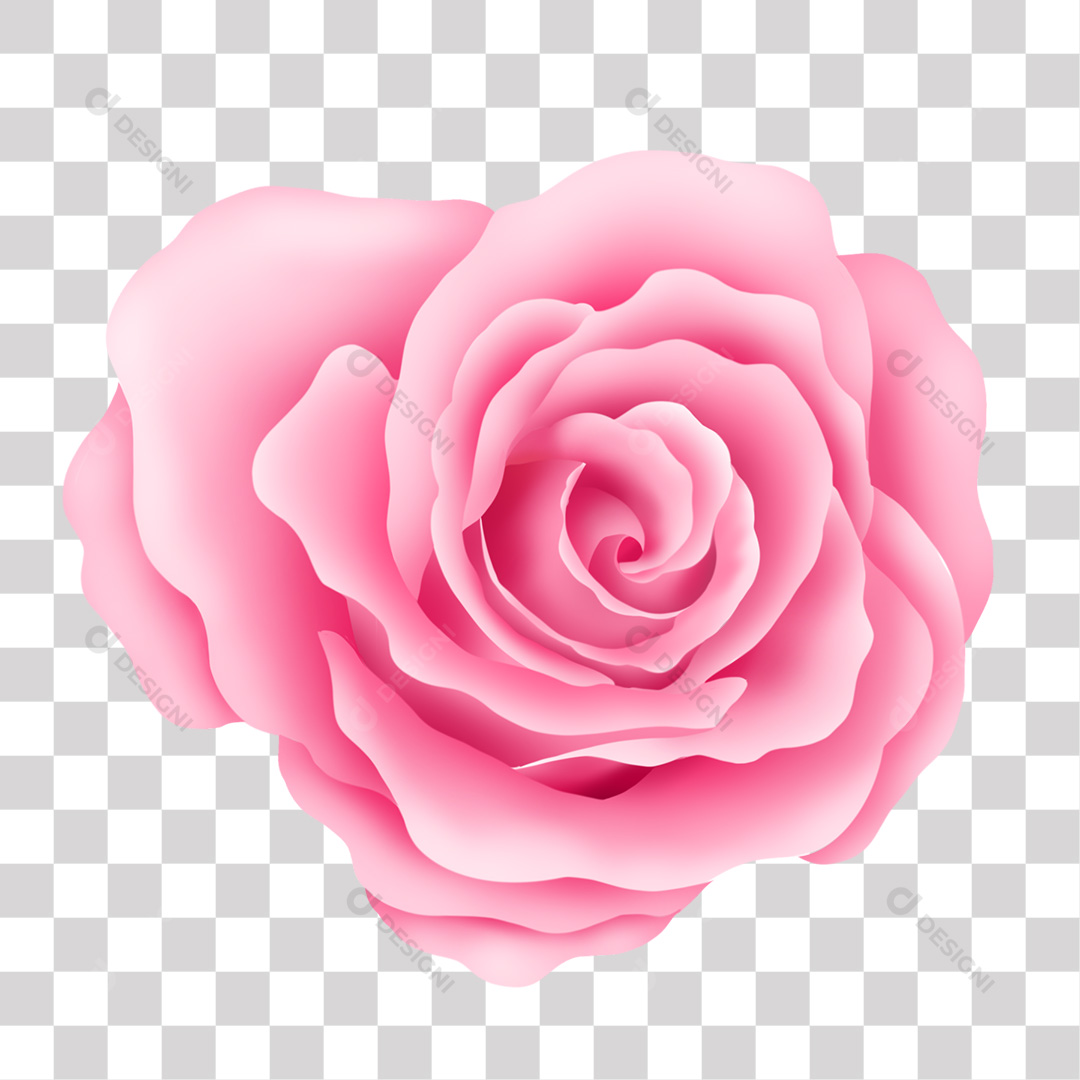 Flor Rosa Pink PNG Transparente Sem Fundo