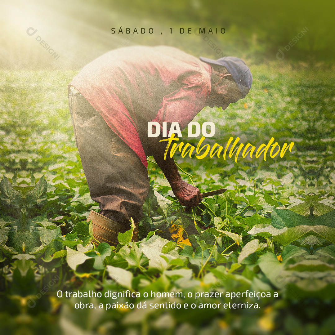 Dia do Trabalhador Social Media PSD Editável Data Comemorativa