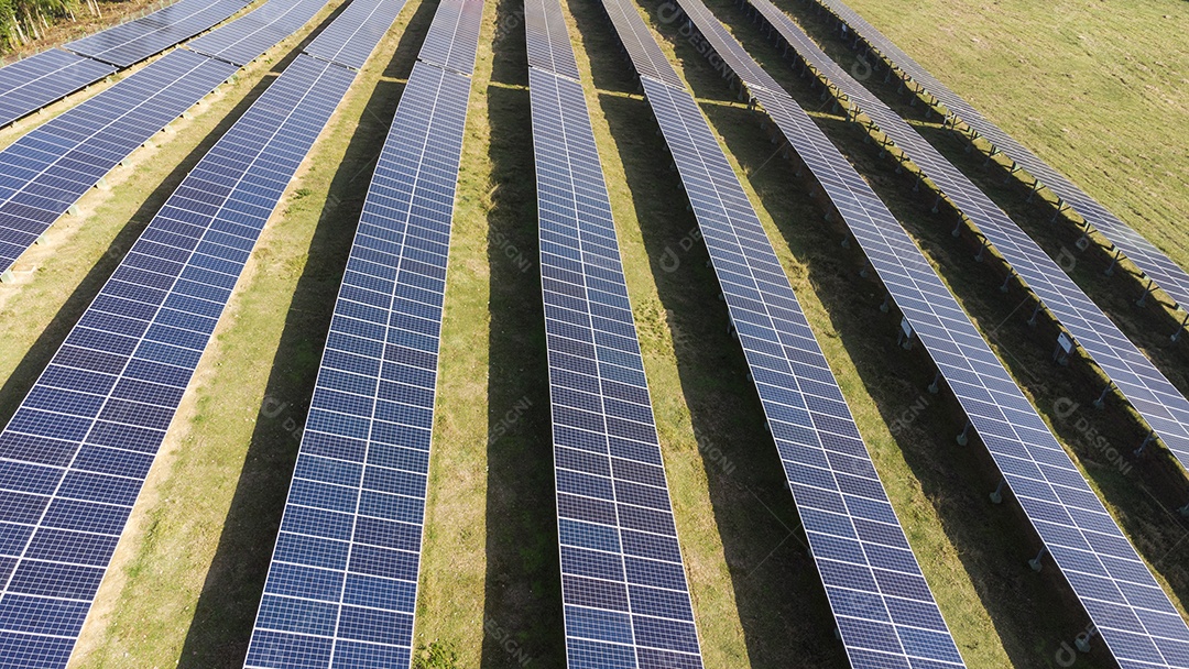 Placas Solares Vistas de Cima em Um Campo