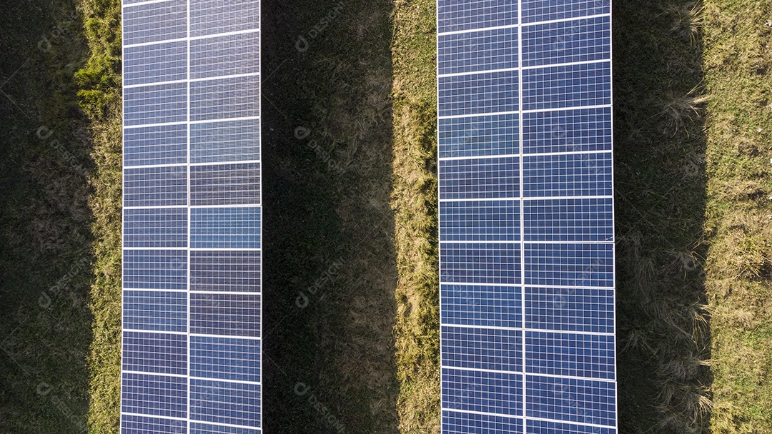 Placas Solares Vistas de Cima em Um Campo