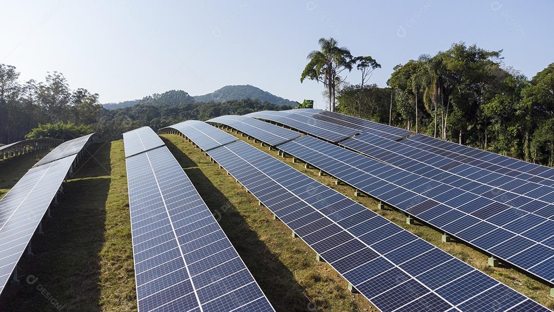 Placas Solares Vistas de Cima em Um Campo