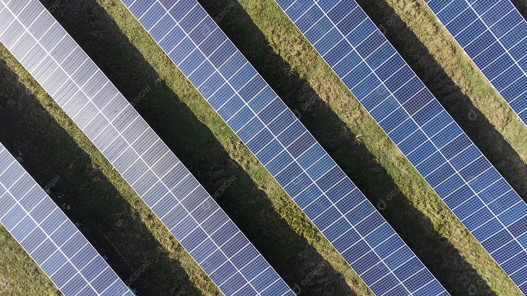 Placas Solares Vistas de Cima em Um Campo
