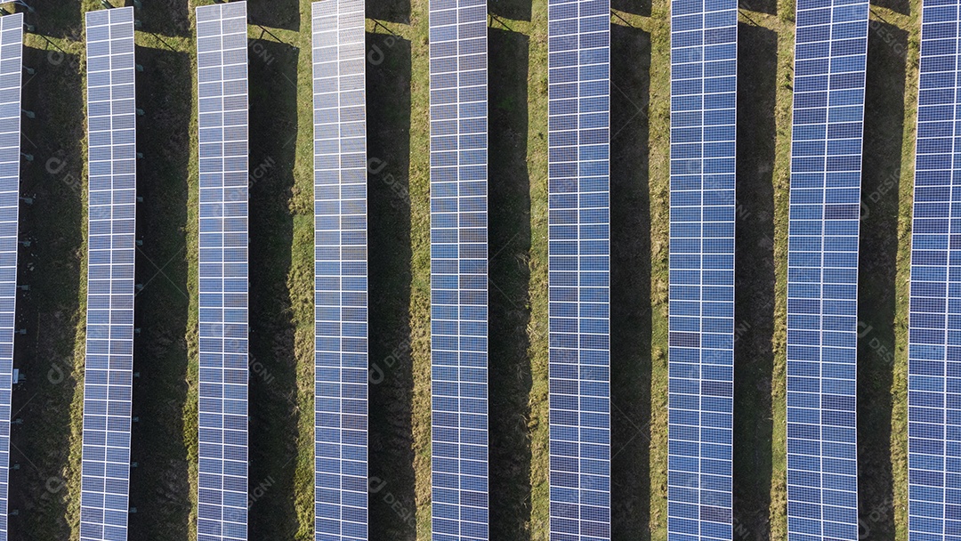 Placas Solares Vistas de Cima em Um Campo