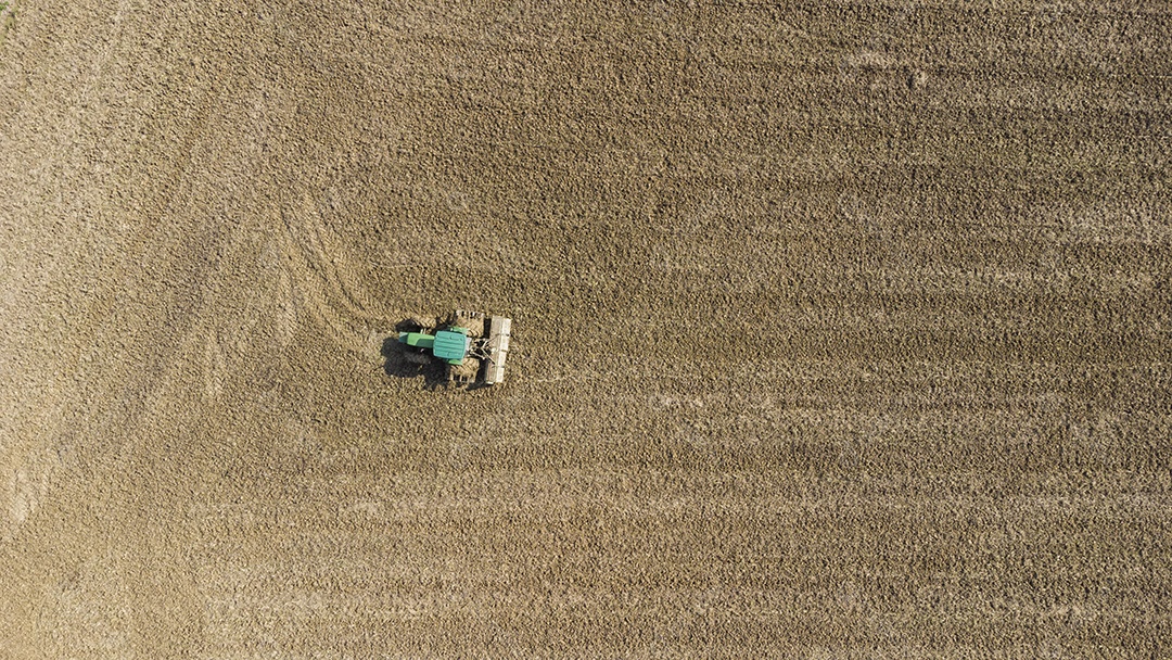 Colheitadeira em Um Campo de Arroz Visto de Cima