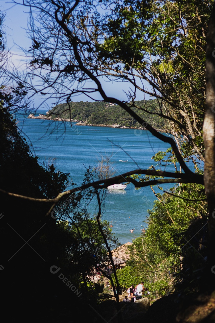 Vista Para o Mar da Floresta