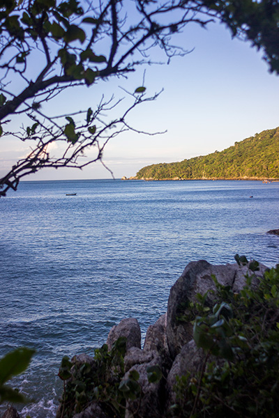 Vista Para o Mar da Floresta
