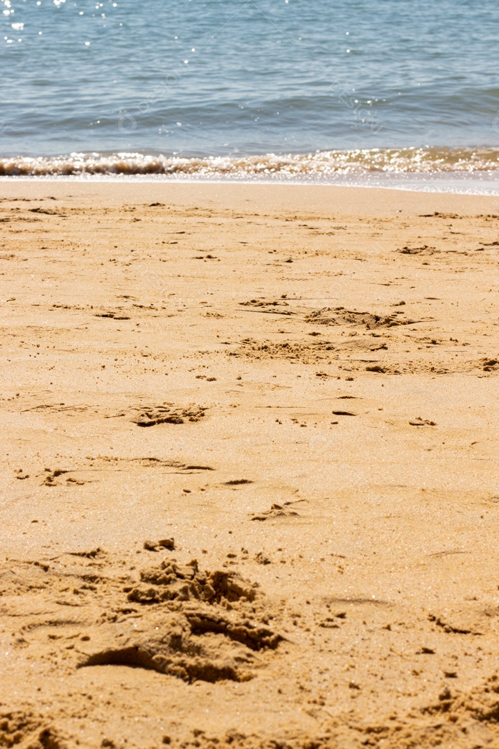 Praia da Costa com Mar e Céu Azul Close na Areia