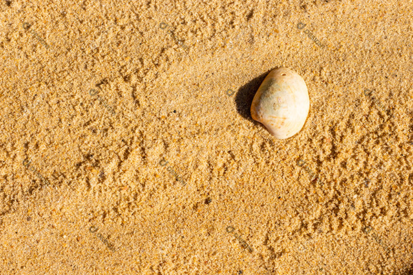Fundo de Textura de Areia de Praia