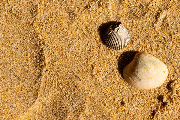 Conceito de Fundo de Textura de Areia de Praia