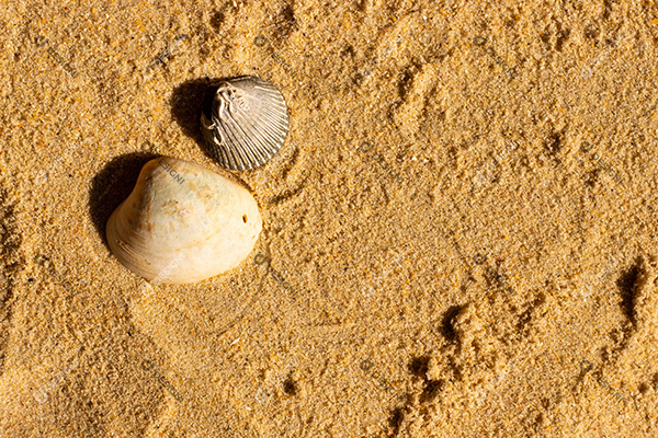 Conceito de Fundo de Textura de Areia de Praia