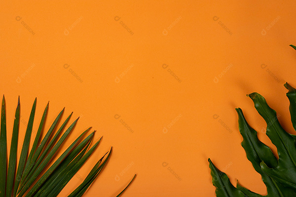 Folhas Verdes em Fundo de Praia Laranja