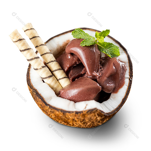 Açaí em uma Casca de Coco