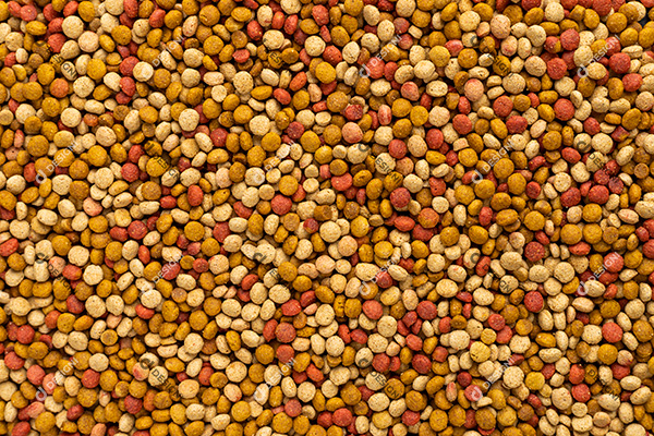 Fundo de Textura de Padrão de Ração de Comida