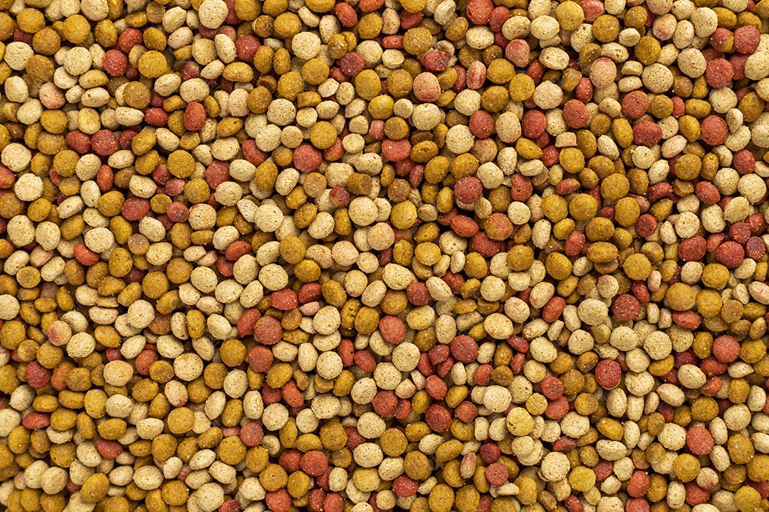 Fundo de Ração de Animais