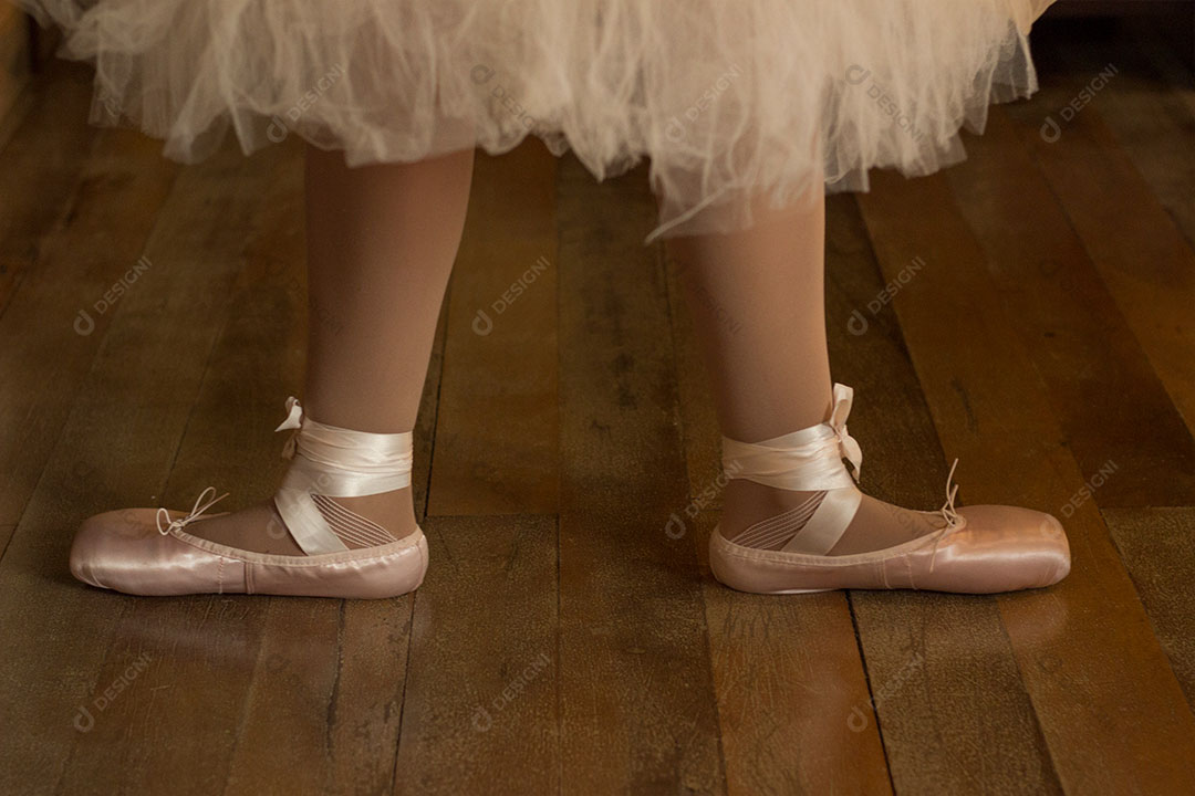 Sapatilha de Bailarina Imagem JPG