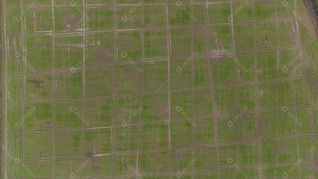 Campo De Arroz Vista Aérea