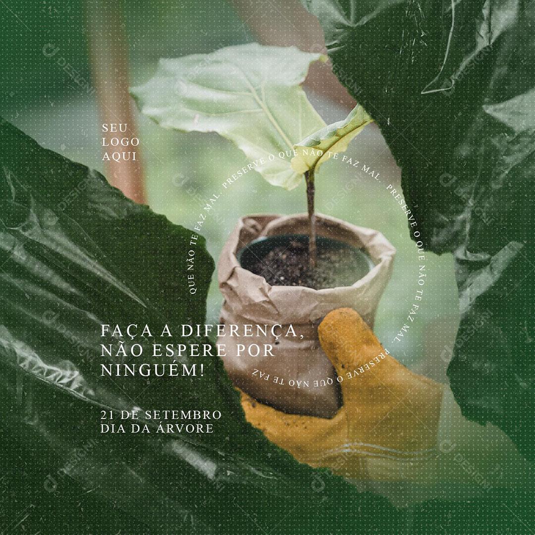 Post Feed Data Comemorativa Dia da Árvore 21 de Setembro Social Media PSD Editável