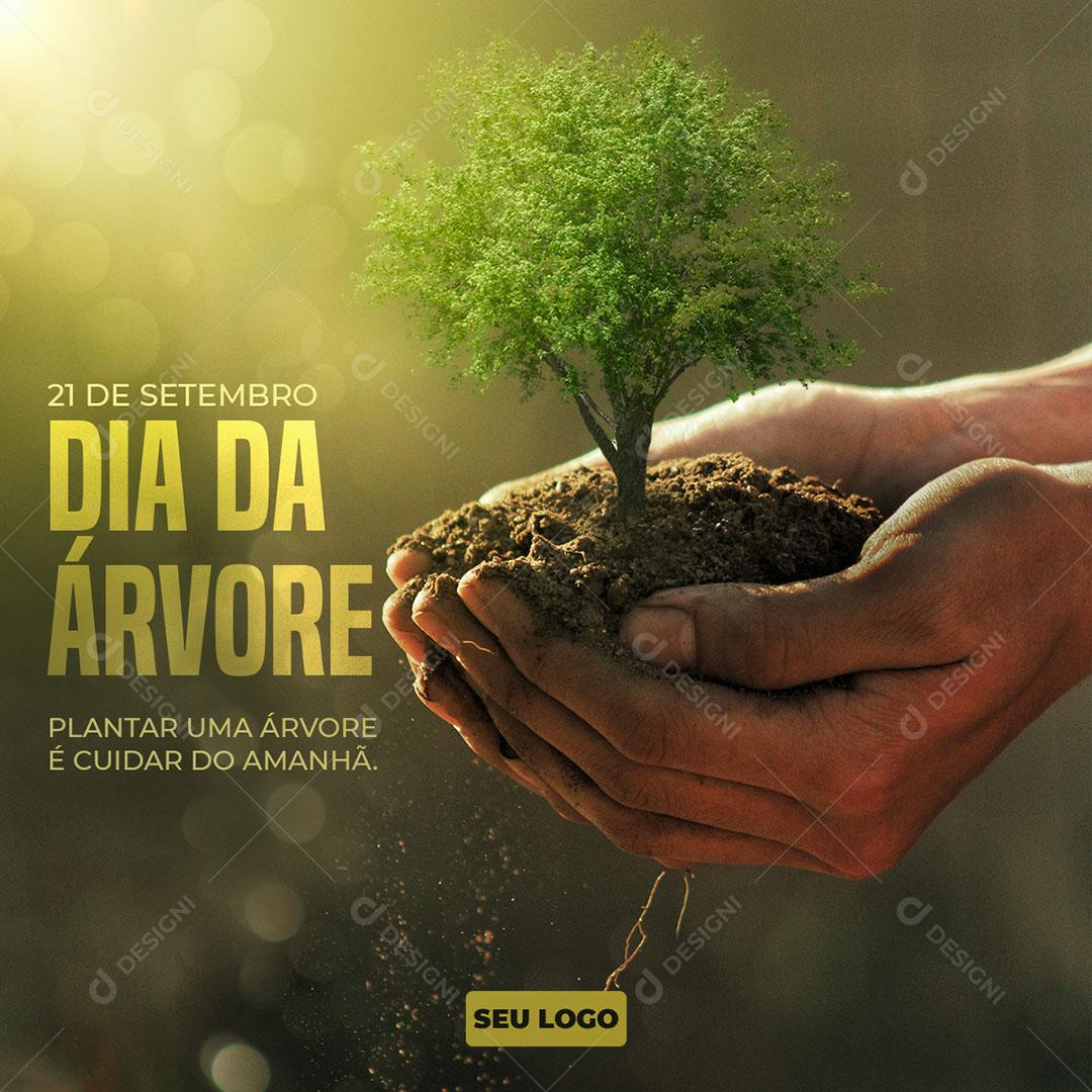 Post Feed Data Comemorativa Dia da Árvore 21 de Setembro Social Media PSD Editável