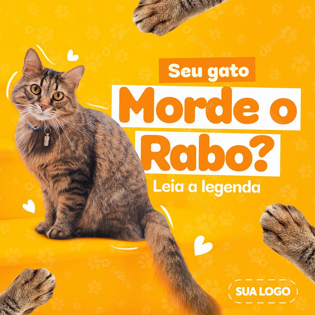 Post Feed Petshop Seu Gato Morde o Rabo Social Media PSD Editável