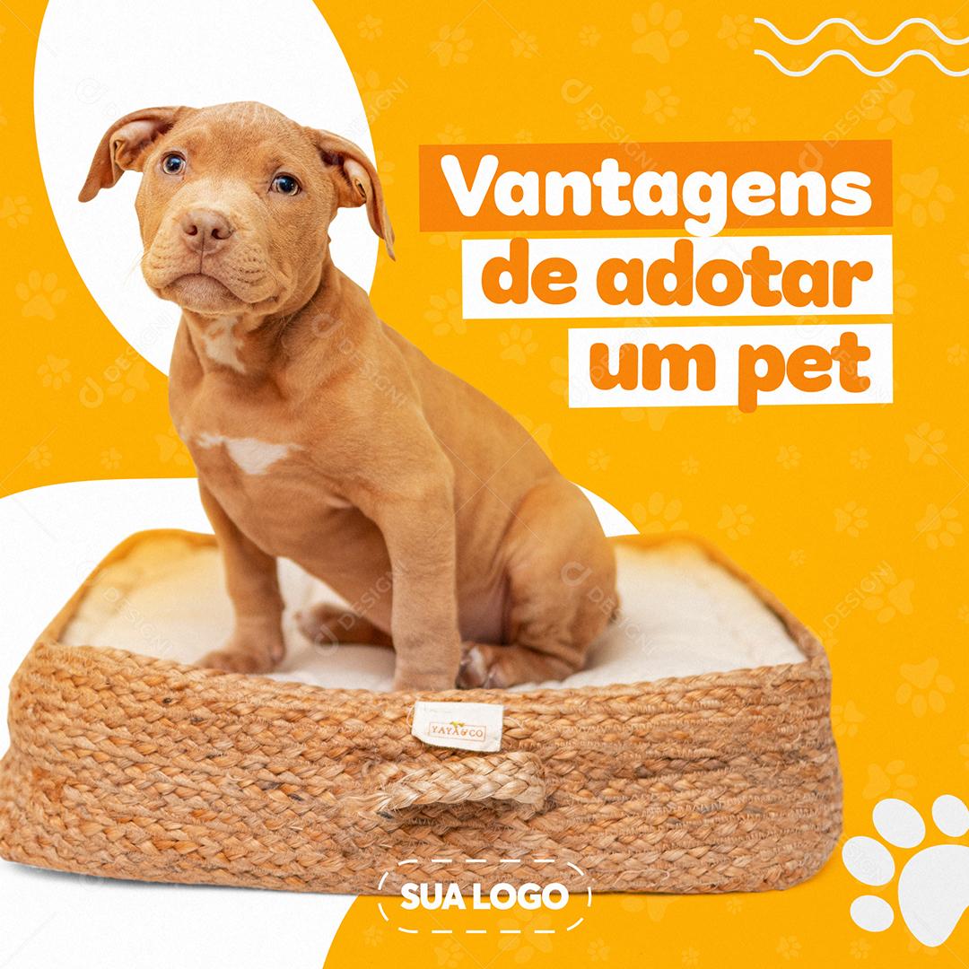 Post Feed Petshop Vantagens de Adotar um Pet Social Media PSD Editável