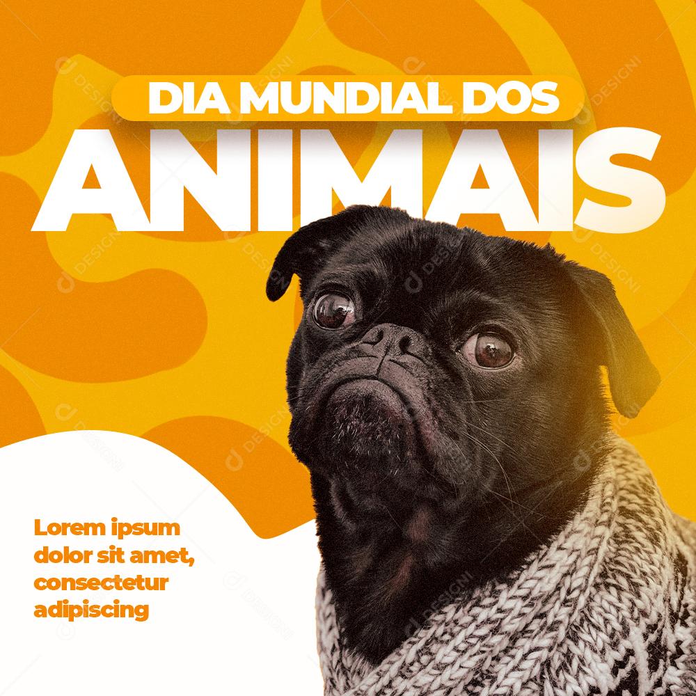 Dia Mundial Dos Animais Social Media PSD Editável