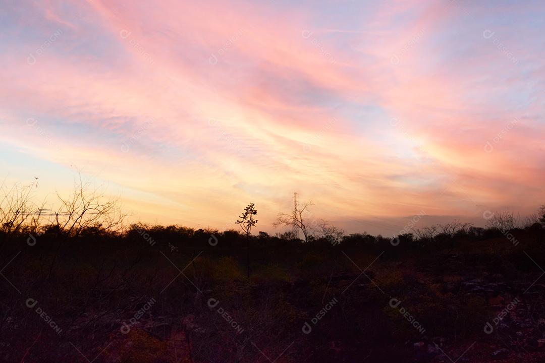 Paisagem De Serrado Por Do sol Imagem JPG