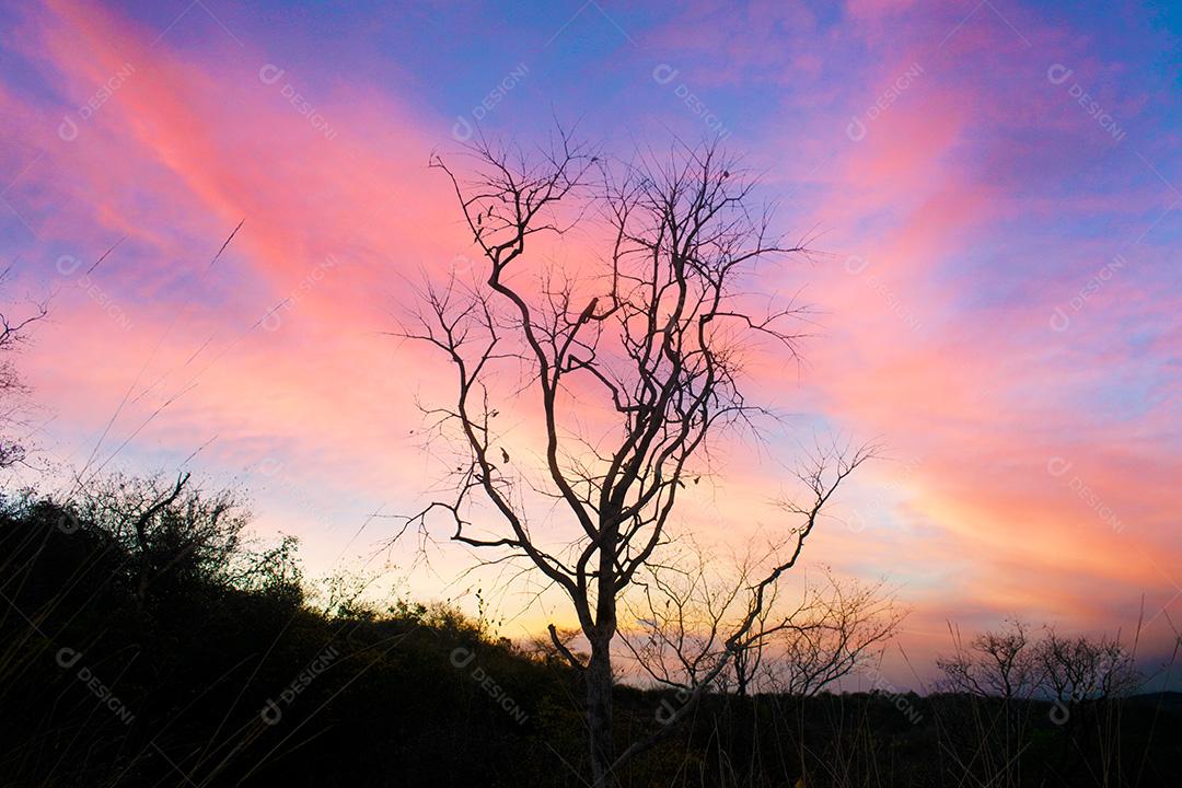 Paisagem De Serrado Por Do sol Imagem JPG