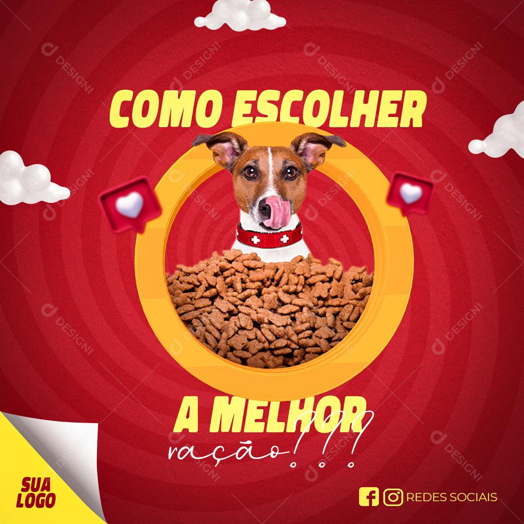 Post Feed Pet Shop Como Escolher a Melhor Ração Social Media PSD Editável