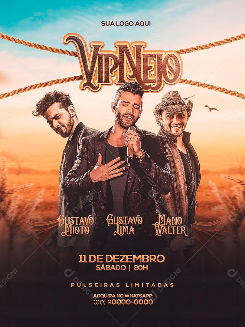 Flyer Evento VipNejo Show Social Media PSD Editável