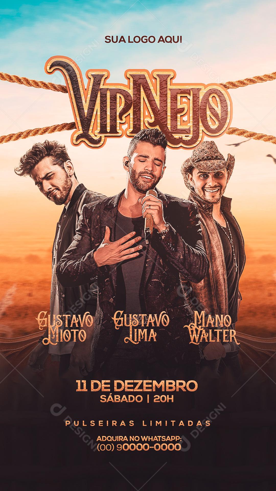 Flyer Evento VipNejo Show Story Social Media PSD Editável