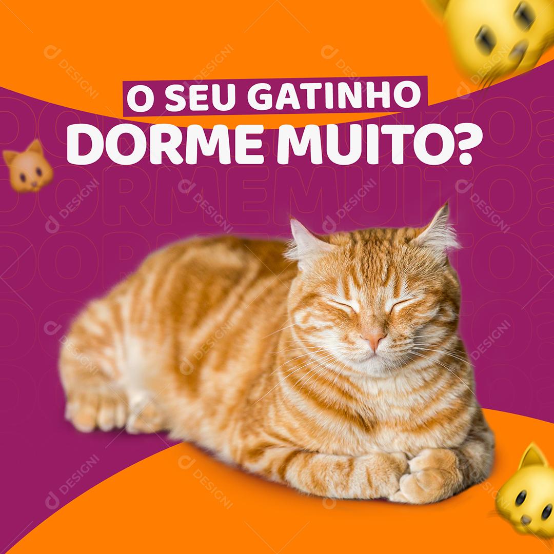 Post Feed Pet Shop O Seu Gatinho Dorme Muito Social Media PSD Editável