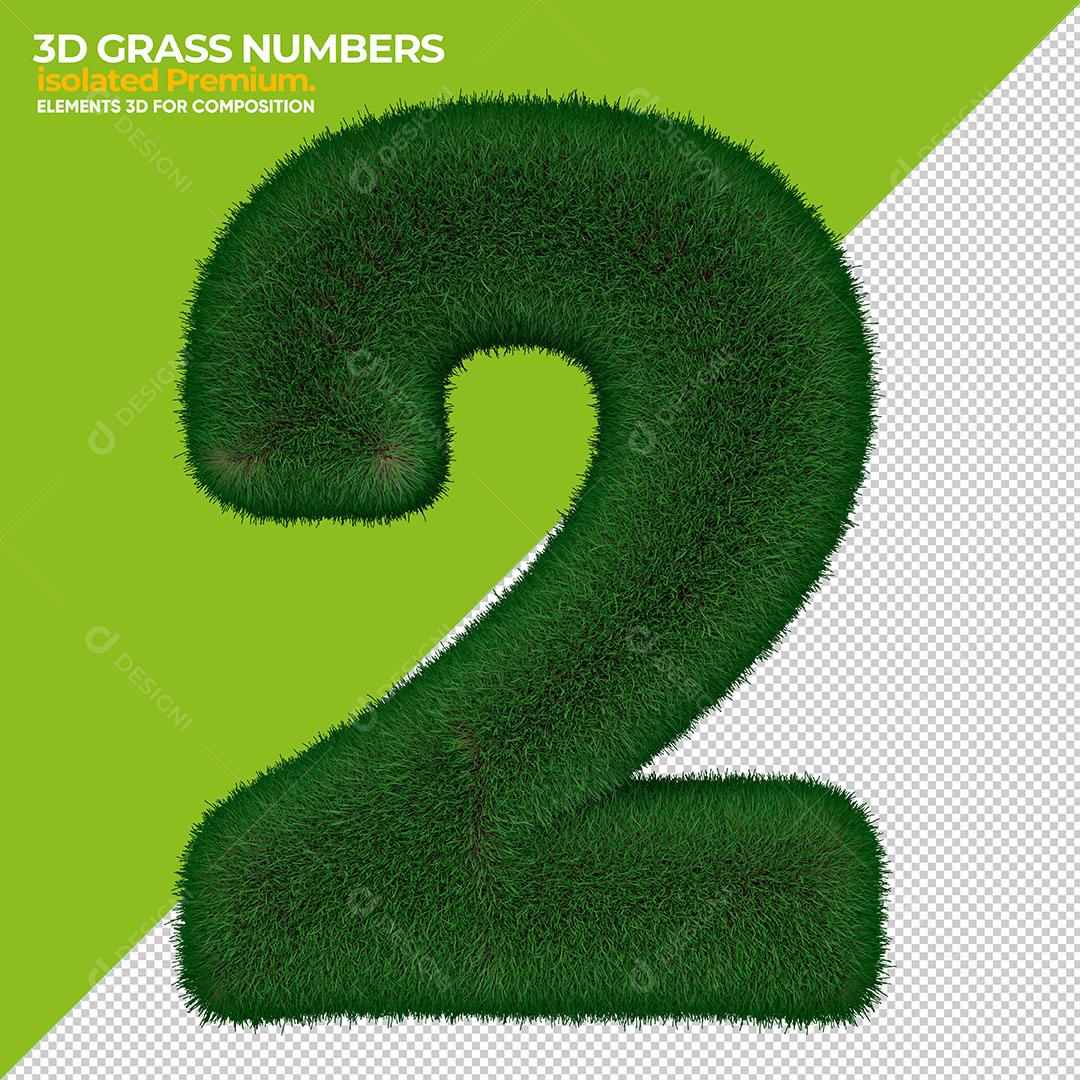 Número 2 3D Grama Elemento Para Composição PSD