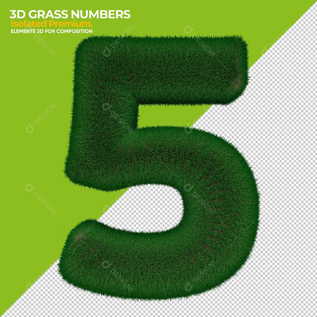 Número 5 3D Grama Elemento Para Composição PSD