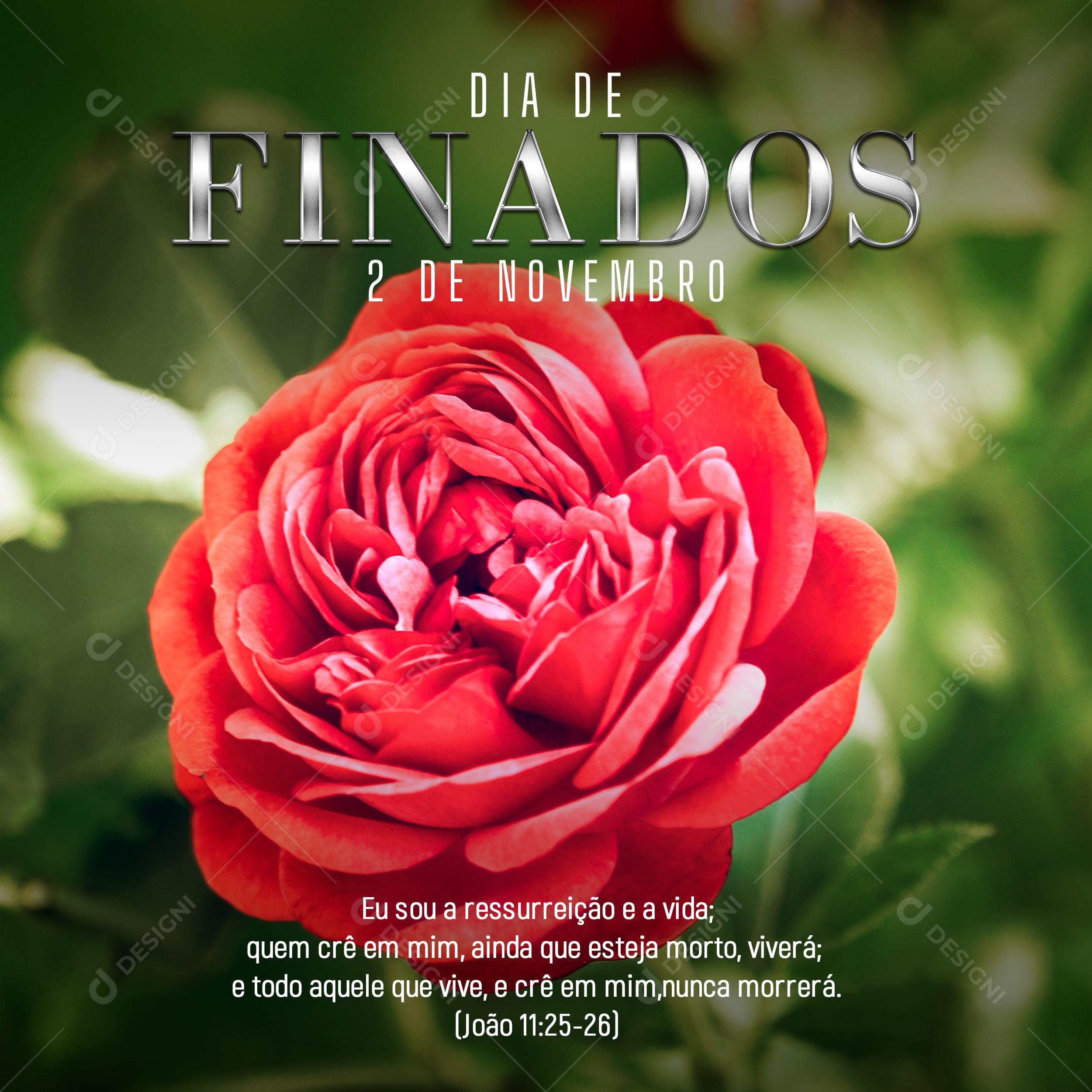 Dia De Finados Dia 2 De Novembro Social Media PSD Editável