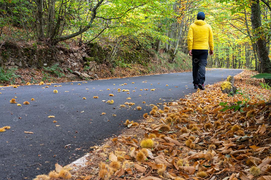 Homem Vestido de Amarelo Pratica Caminhada Pela Floresta de Castanheiros Imagem JPG