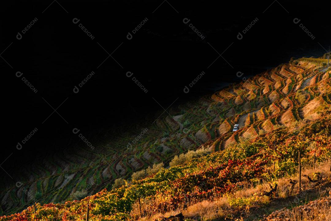 Imagem JPG Montanha De Plantação De Vinhas Vale do Douro