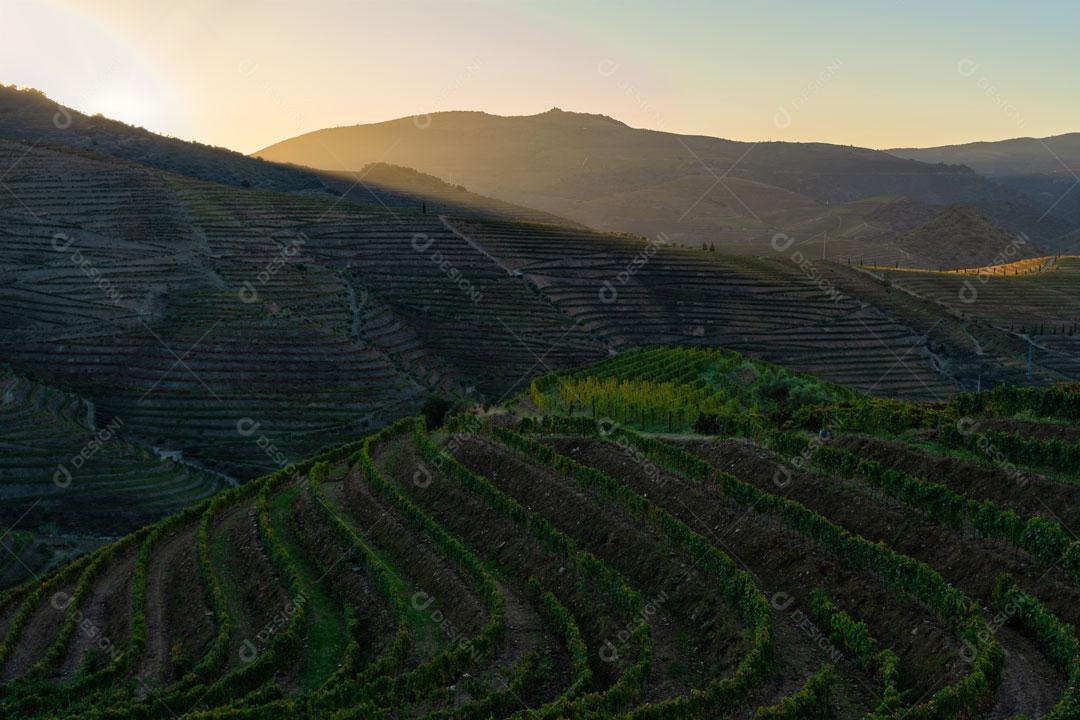 Imagem JPG Paisagem Vista das Vinhas do Vale do Douro