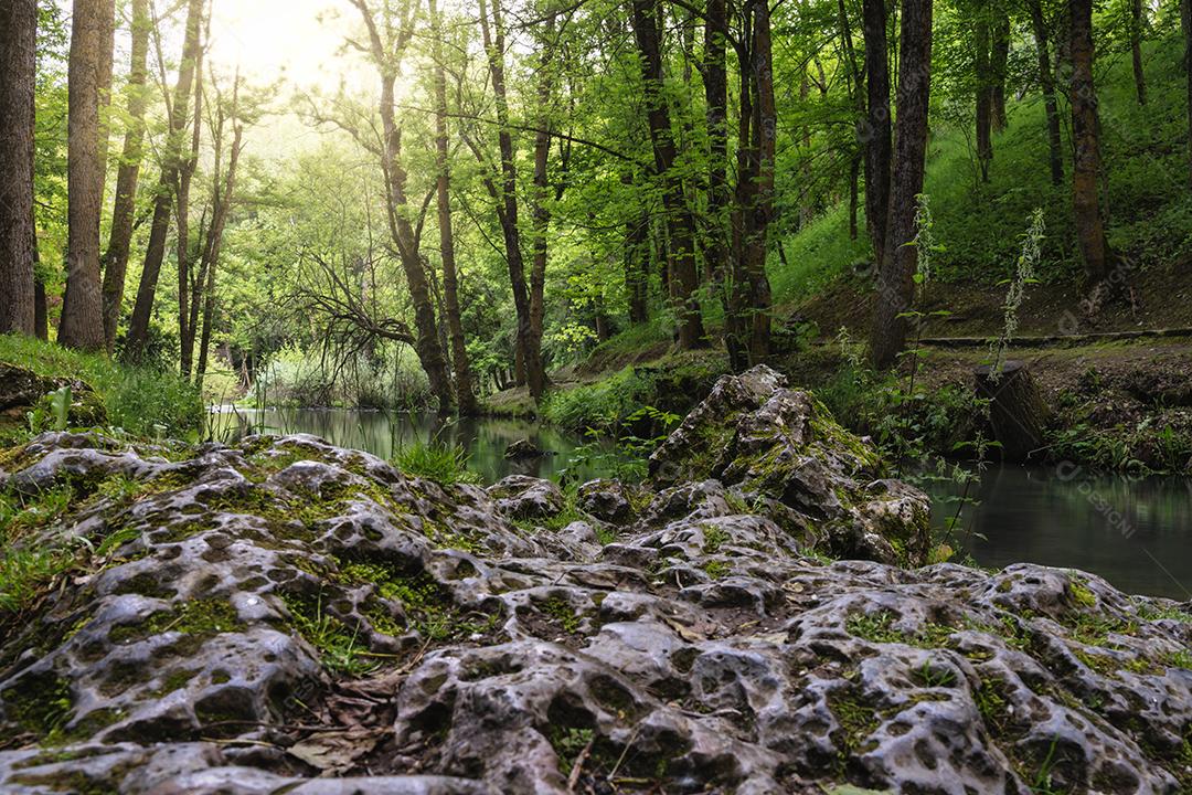Bosques Frondosos e Verdes na Nascente do Rio Ebro Em Fontibre, Cantábria, Espanha Imagem JPG