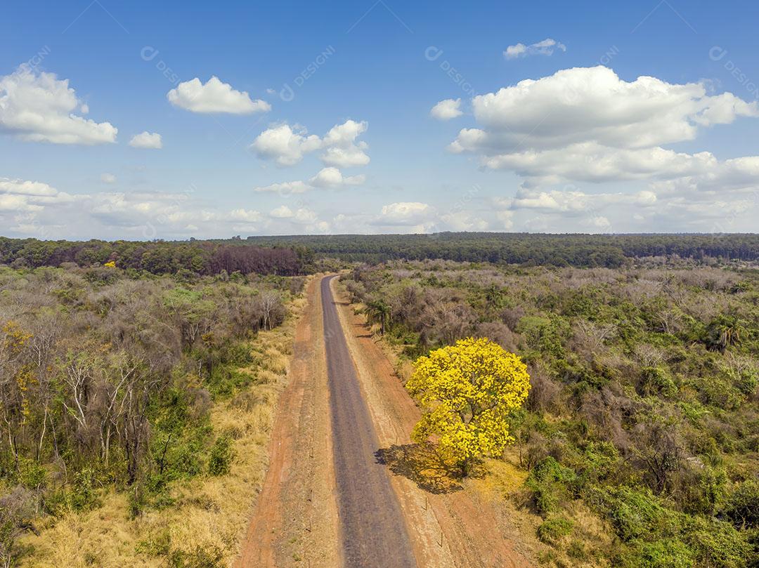 Imagem Paisagem Fotografia Feita de Drone Imagem