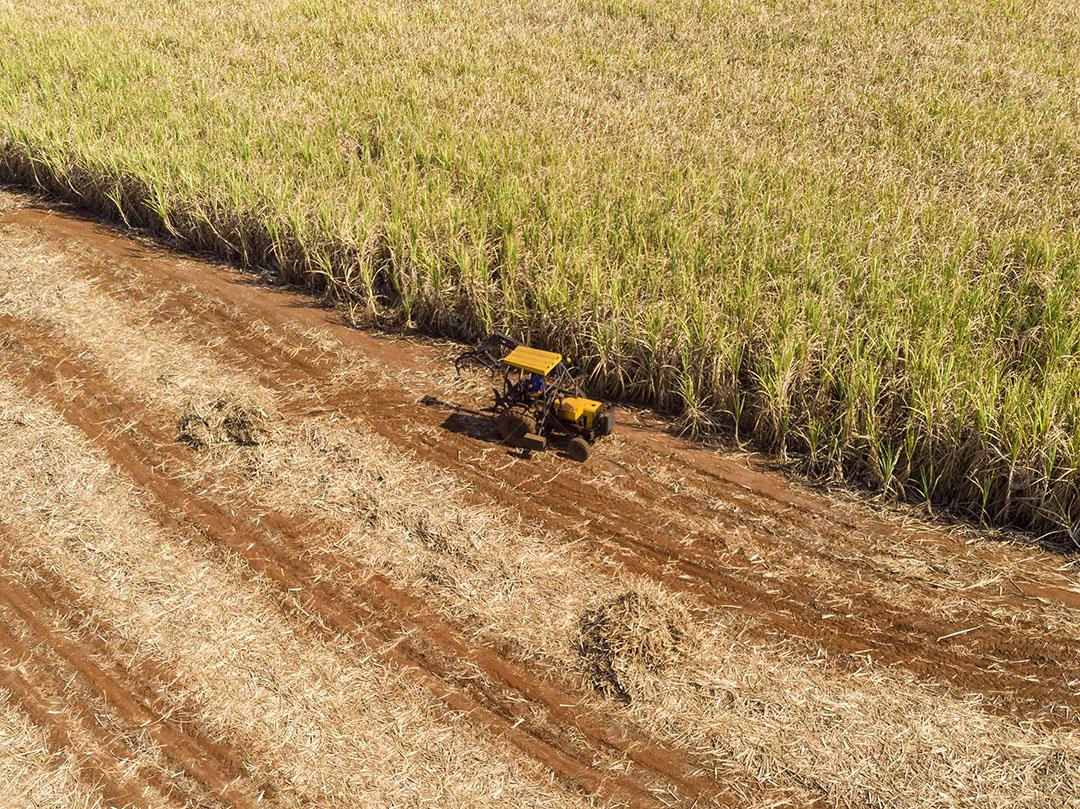 Tractor Working in Crop Crop Farm Imagem Foto