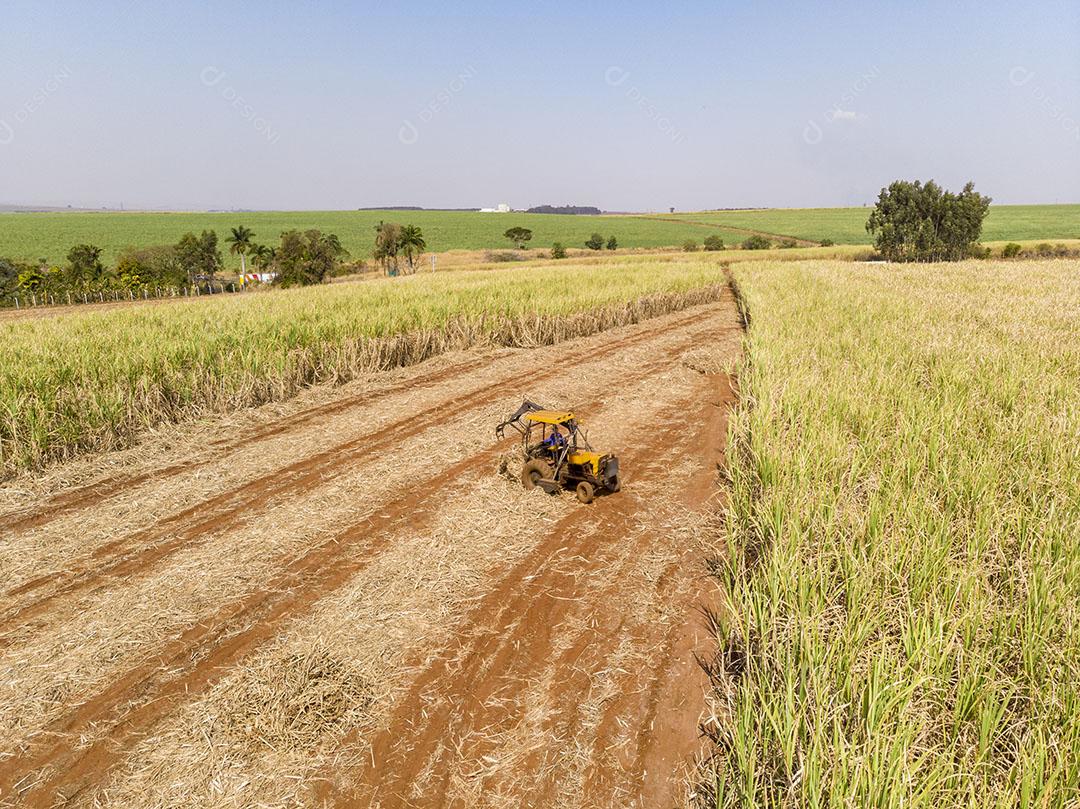Trator Trabalhando em Lavoura Colheita Fazenda Imagem Foto