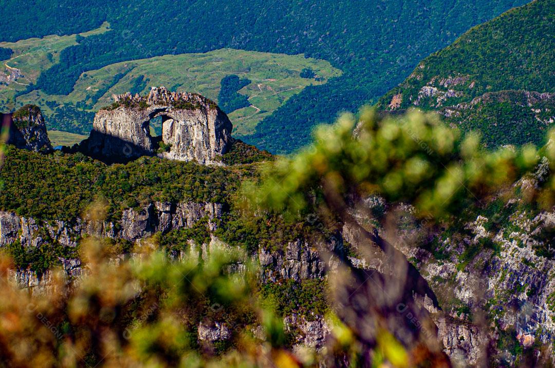 Paisagem Montanhas e Arvores Imagens JPG