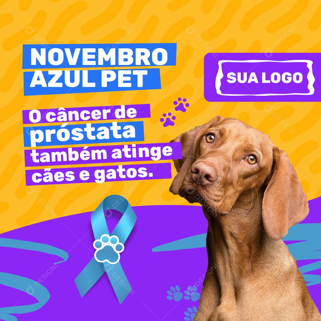 Novembro Azul Pet o Câncer De Próstata também Atinge Os Cães E Gatos Social Media PSD Editável
