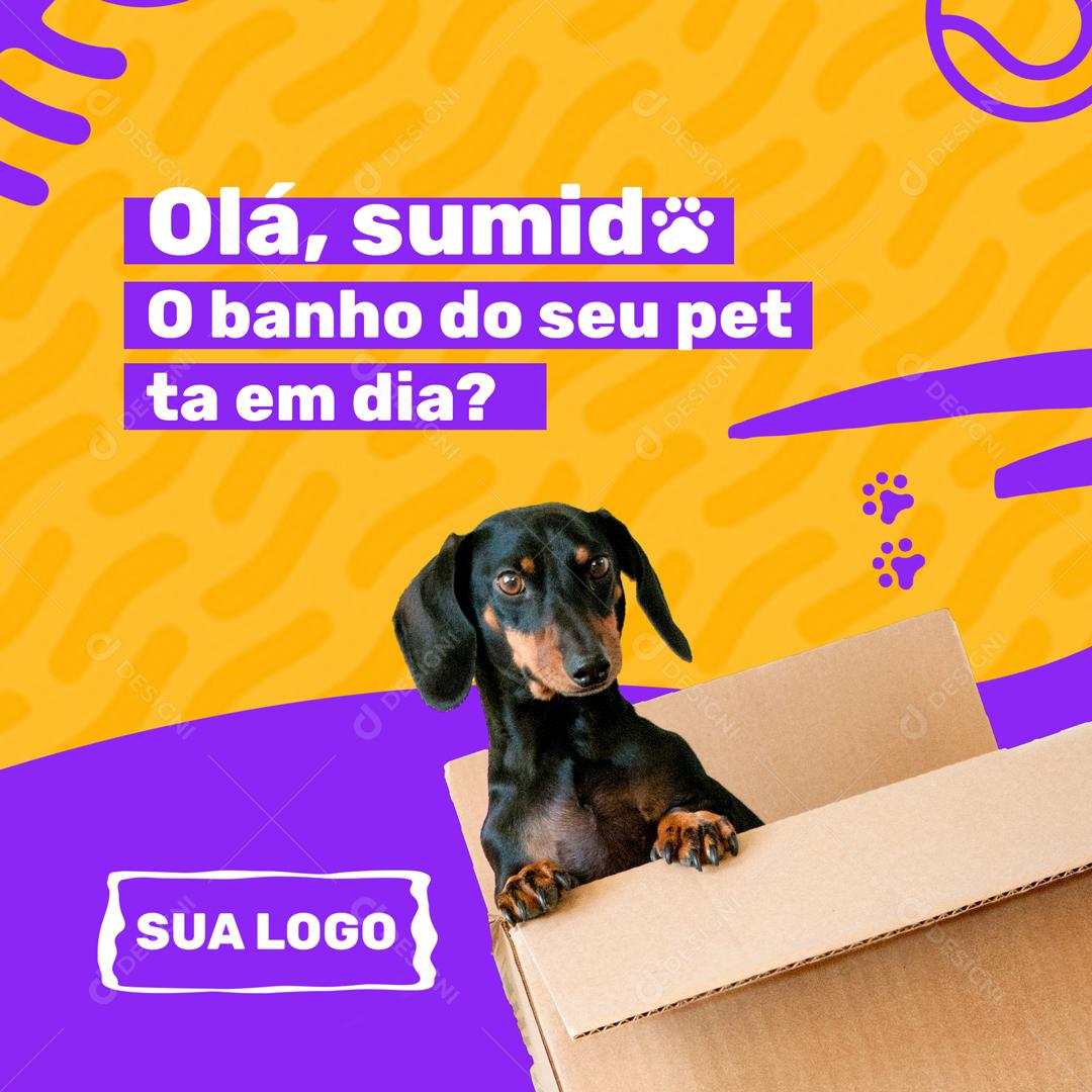 Olá Sumida o Banho Do Seu Pet Esta Em Dia Social Media PSD Editável